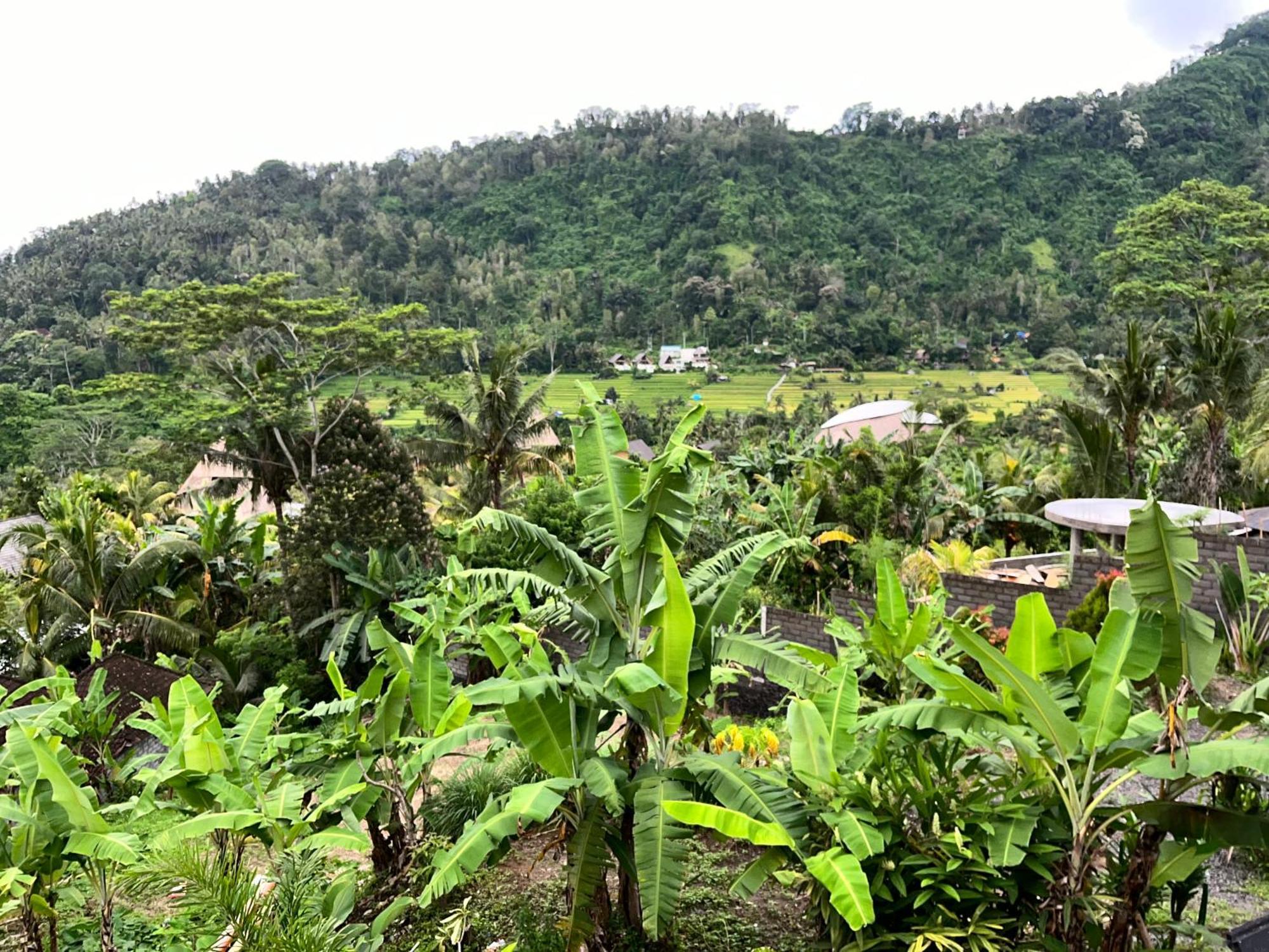 Lumbung Kembar Sidemen Sidemen (Bali)