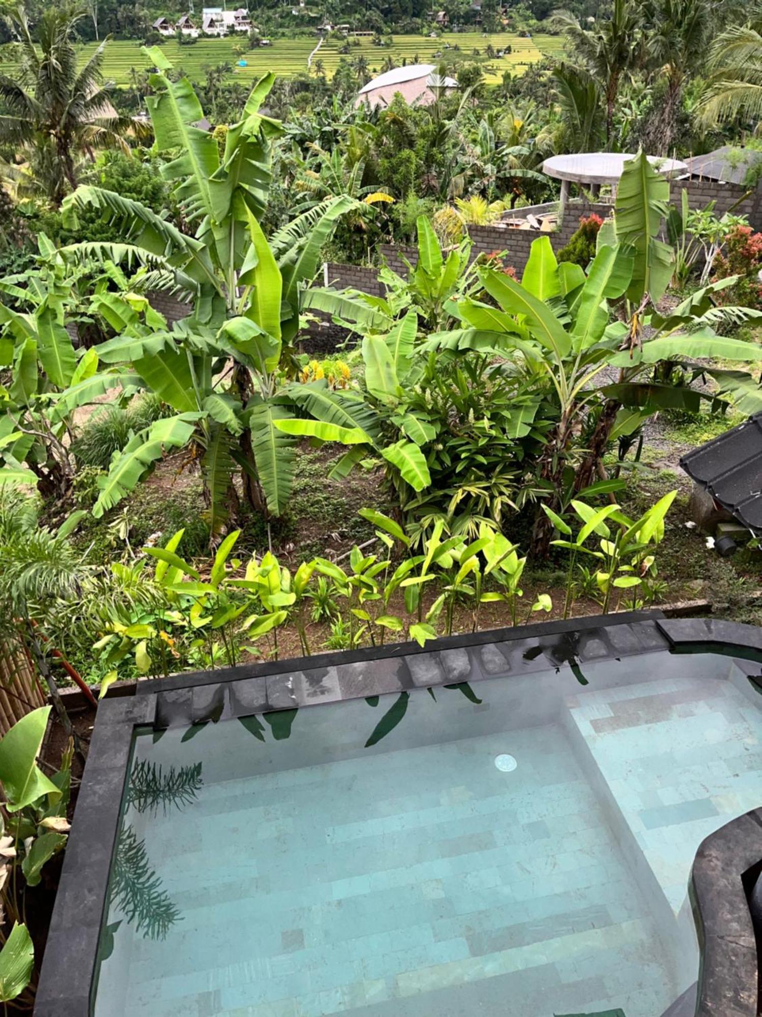 Lodge Lumbung Kembar Sidemen